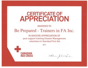 Certificate Of Appreciation DM SFA